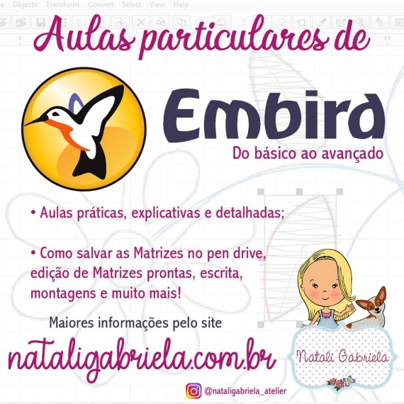 Curso Presencial  EMBIRD - Iniciantes