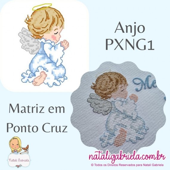 Anjo PXNG1